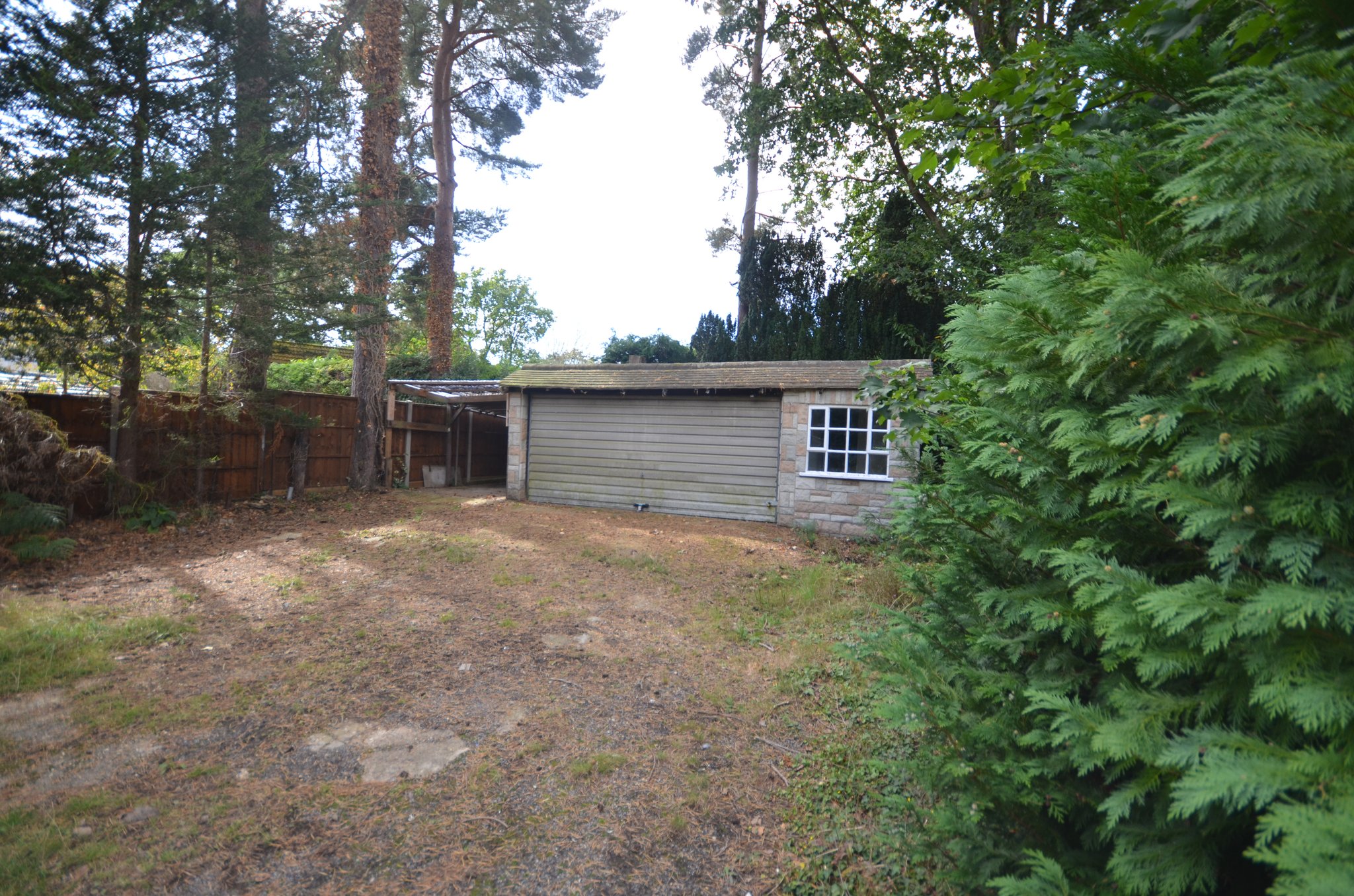 Macdonald Road, Lightwater Luff & Wilkin Property Specialists